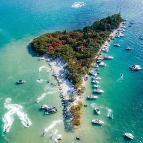 Island-Miami